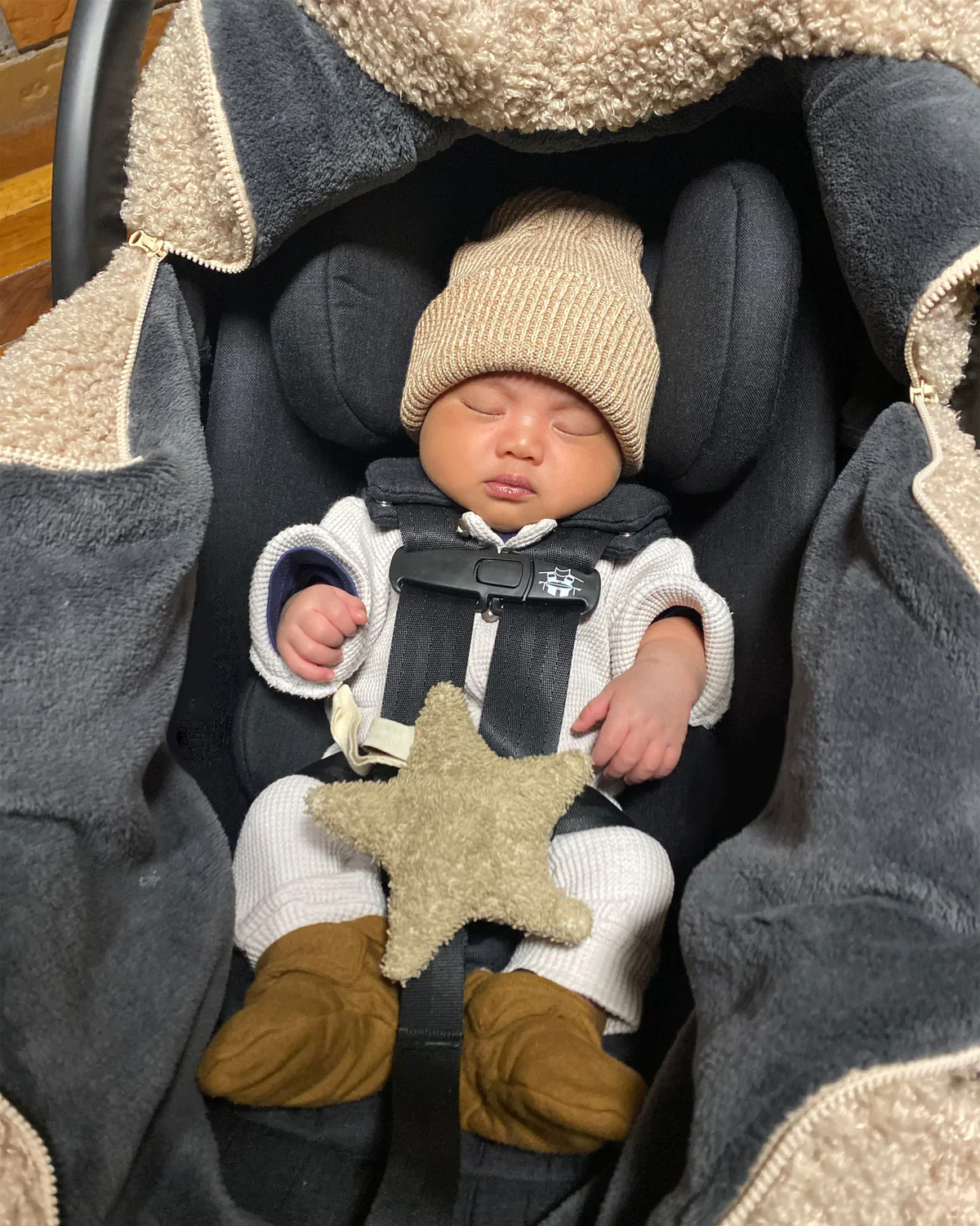 7 AM Car Seat Cocoon - Teddy - Image 7
