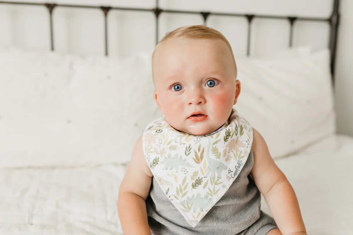 Baby Bandana Bibs - Rex - Image 4