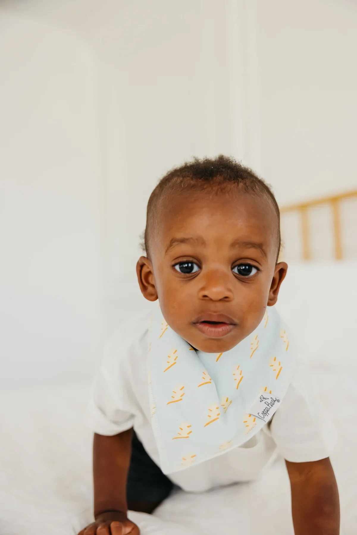 Baby Bandana Bibs - Vance - Image 4