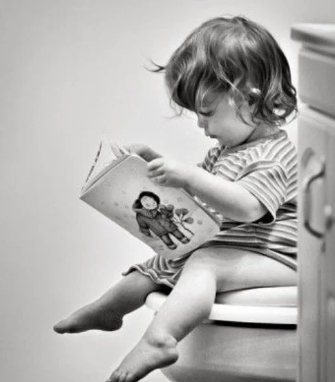 Baby Bjorn Toilet Training Seat - Image 4
