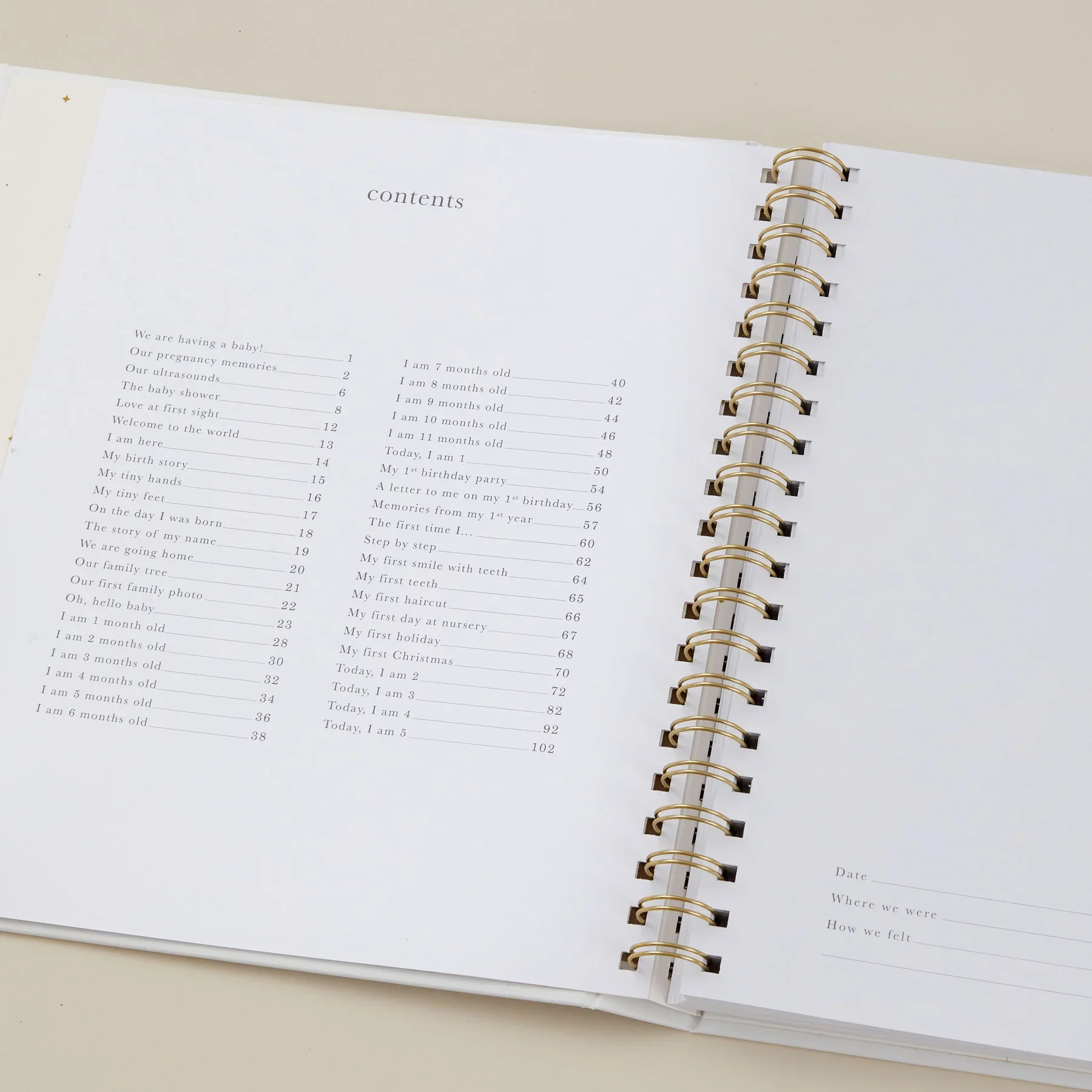 Blush & Gold Baby Book - Image 4