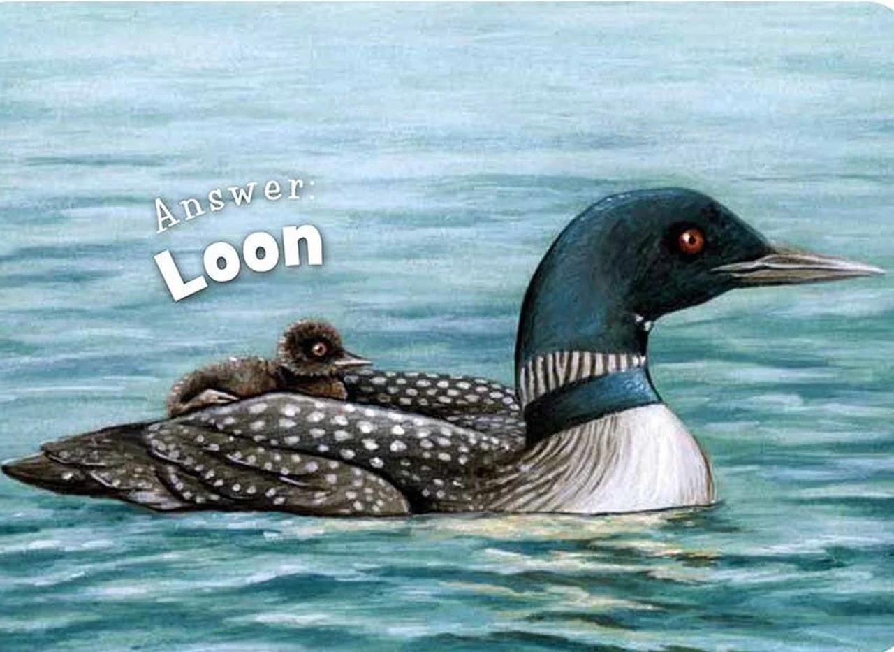 Little Minnesota Board Book - Image 3