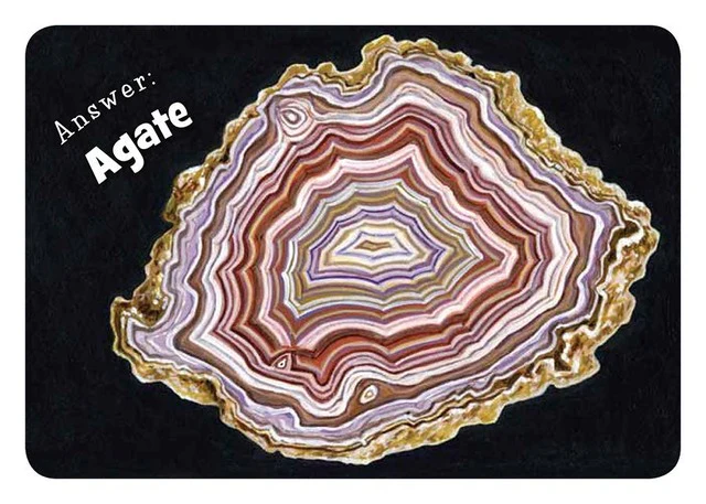 Little Minnesota Board Book - Image 5