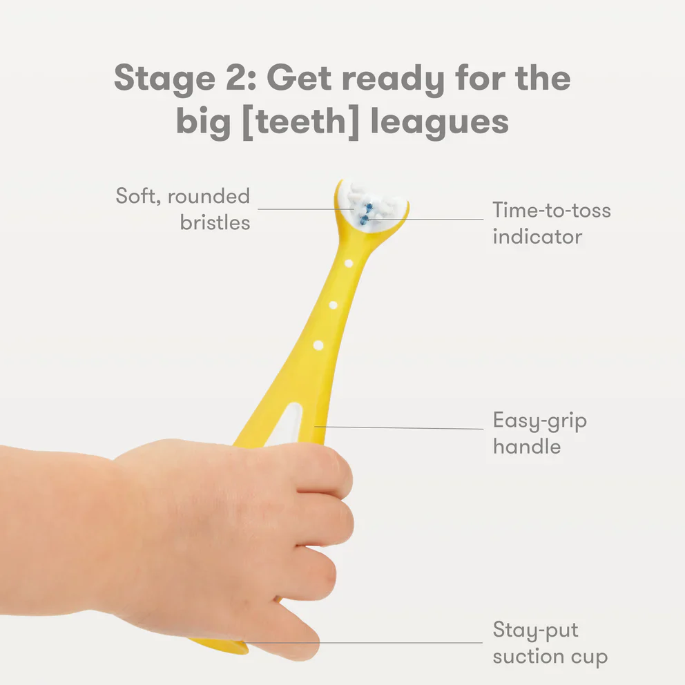 Fridababy Grow-With-Me Training Toothbrush Set - Image 5