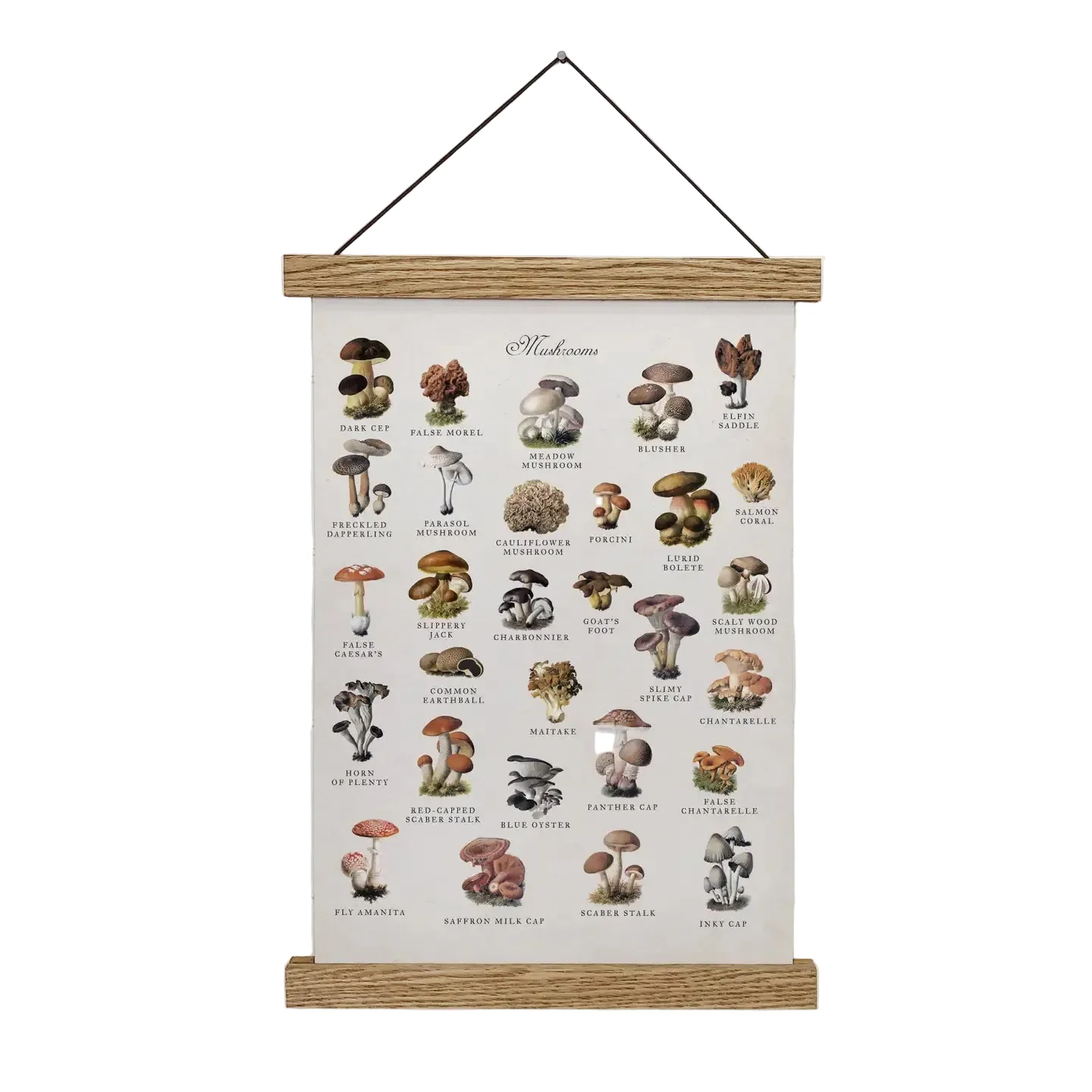 Hangout Home Mushroom Chart