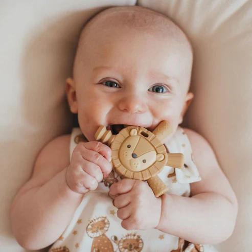 Itzy Ritzy Molar Teether - Image 14