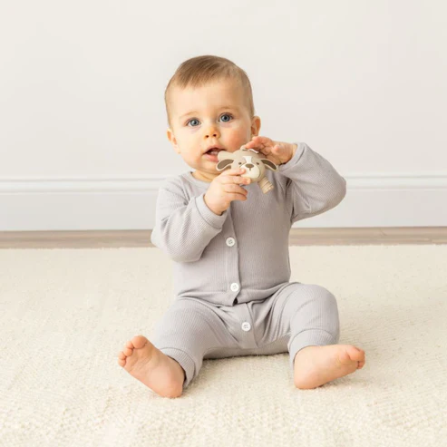 Itzy Ritzy Molar Teether - Image 5