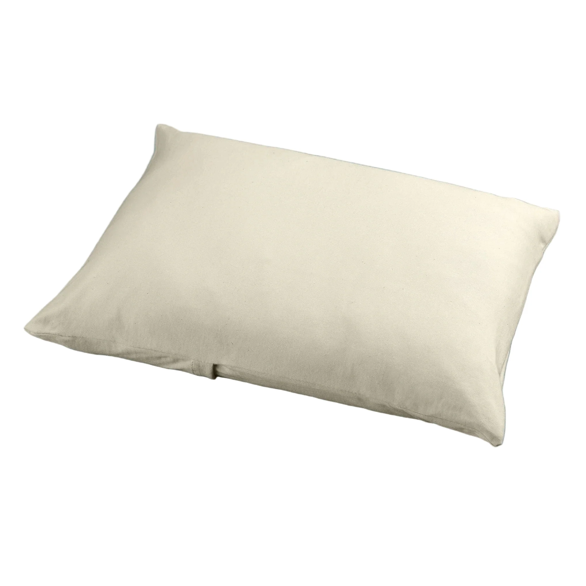 Moonlight Little Dreamer Toddler Pillow with Organic Cover