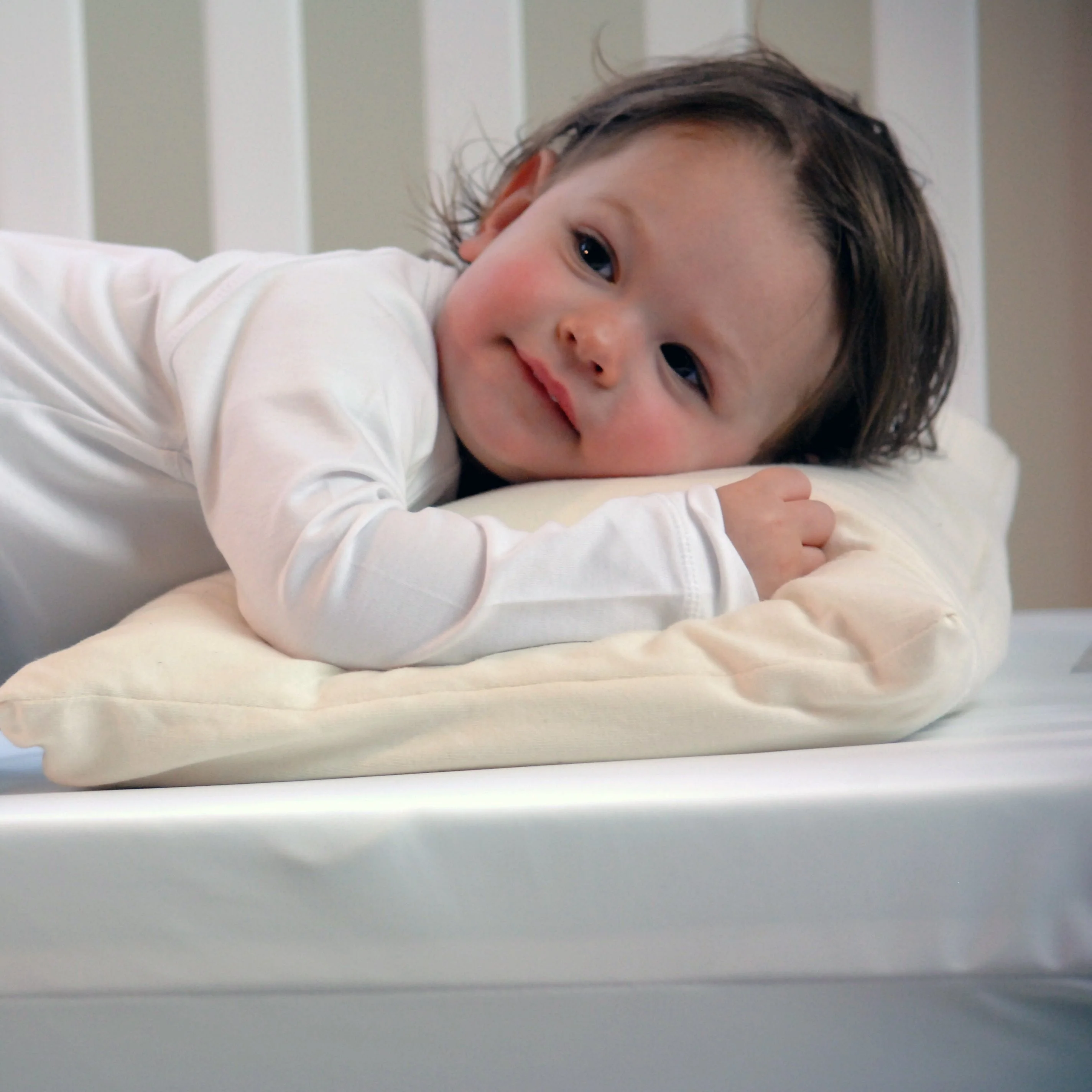 Moonlight Little Dreamer Toddler Pillow with Organic Cover - Image 5
