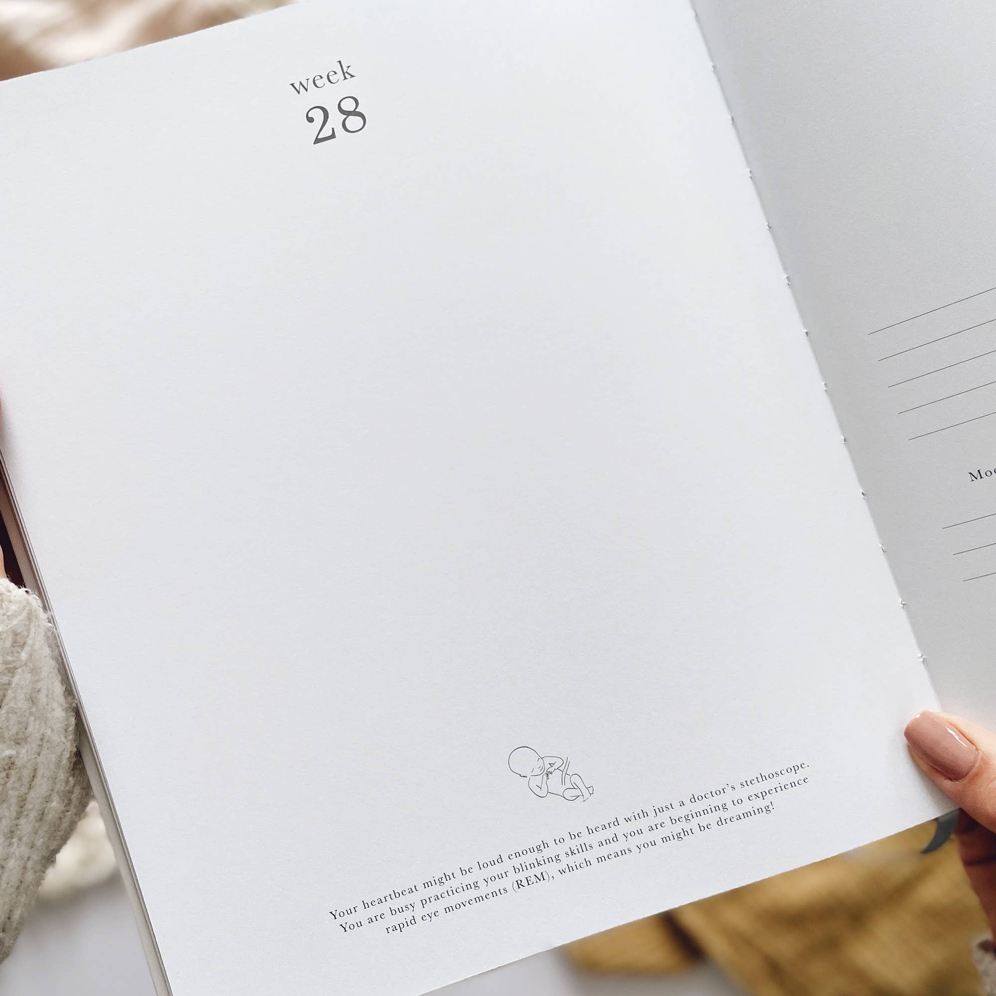 Blush and Gold Pregnancy Journal  -  Ivory - Image 11