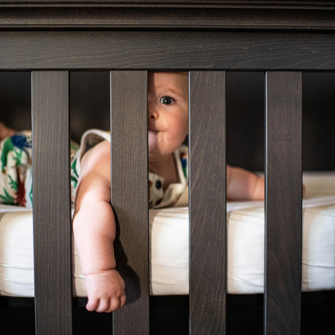 Silva Jackson Convertible Crib - Image 12