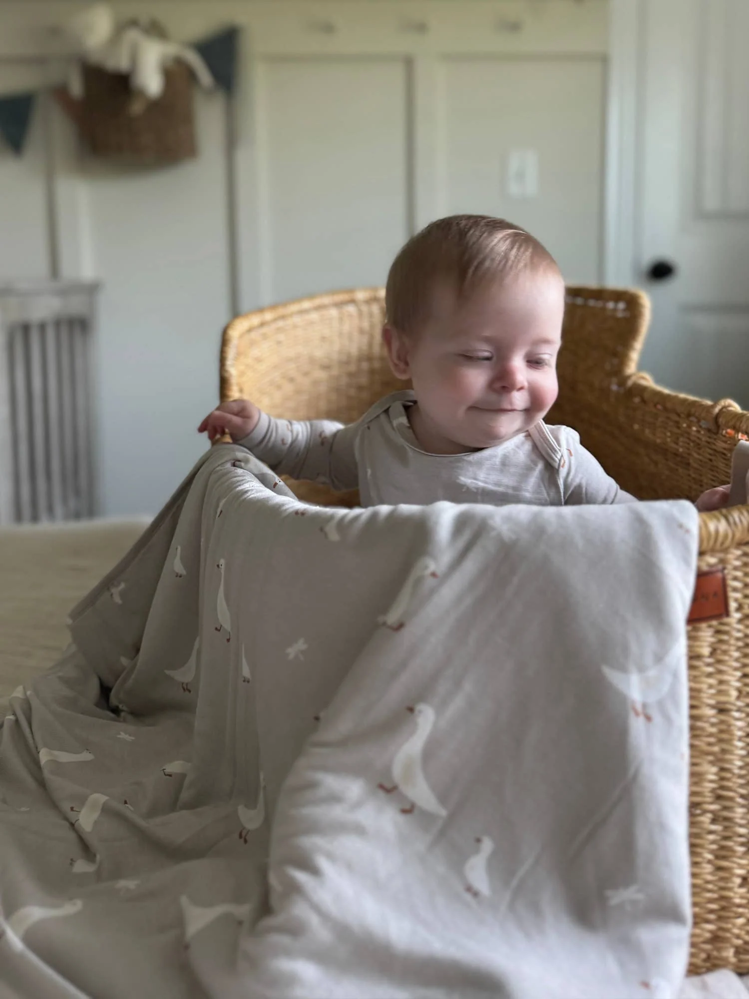 Gunamuna Cloud Blanket - 1.0 TOG - Image 7