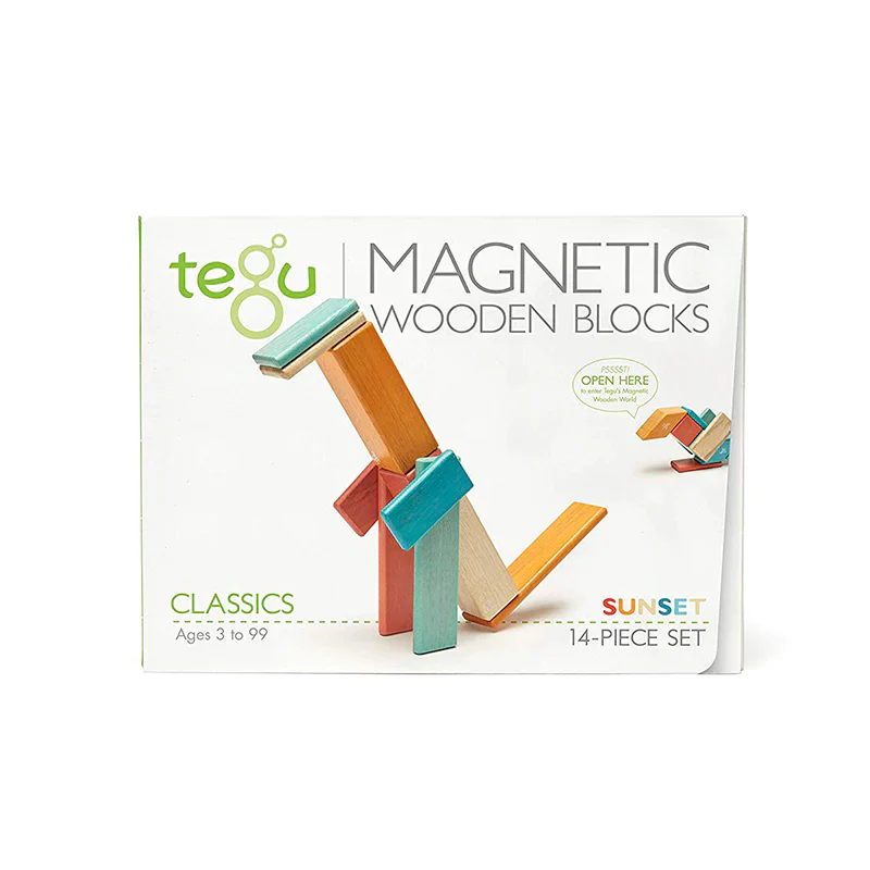Tegu 14 piece Magnetic Wooden Blocks