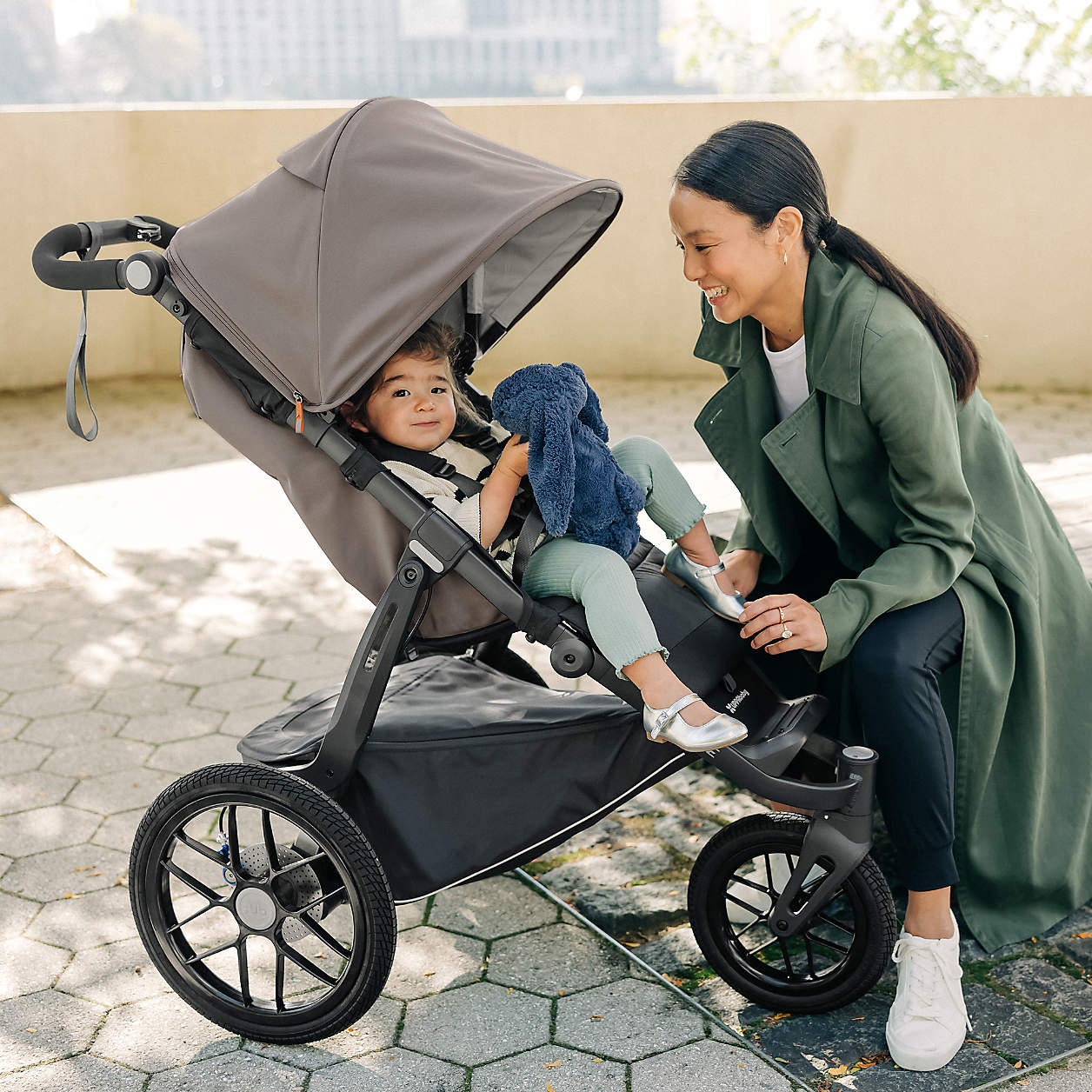 UPPAbaby Ridge All-Terrain Stroller - Image 2