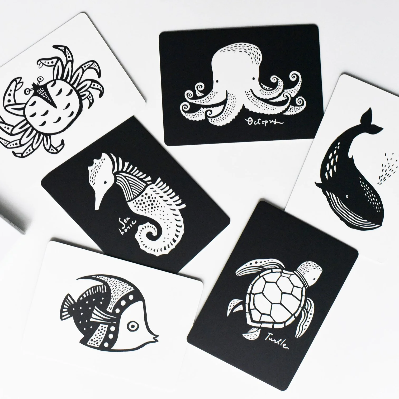 Wee Gallery Art Cards for Baby - Ocean Collection - Image 3