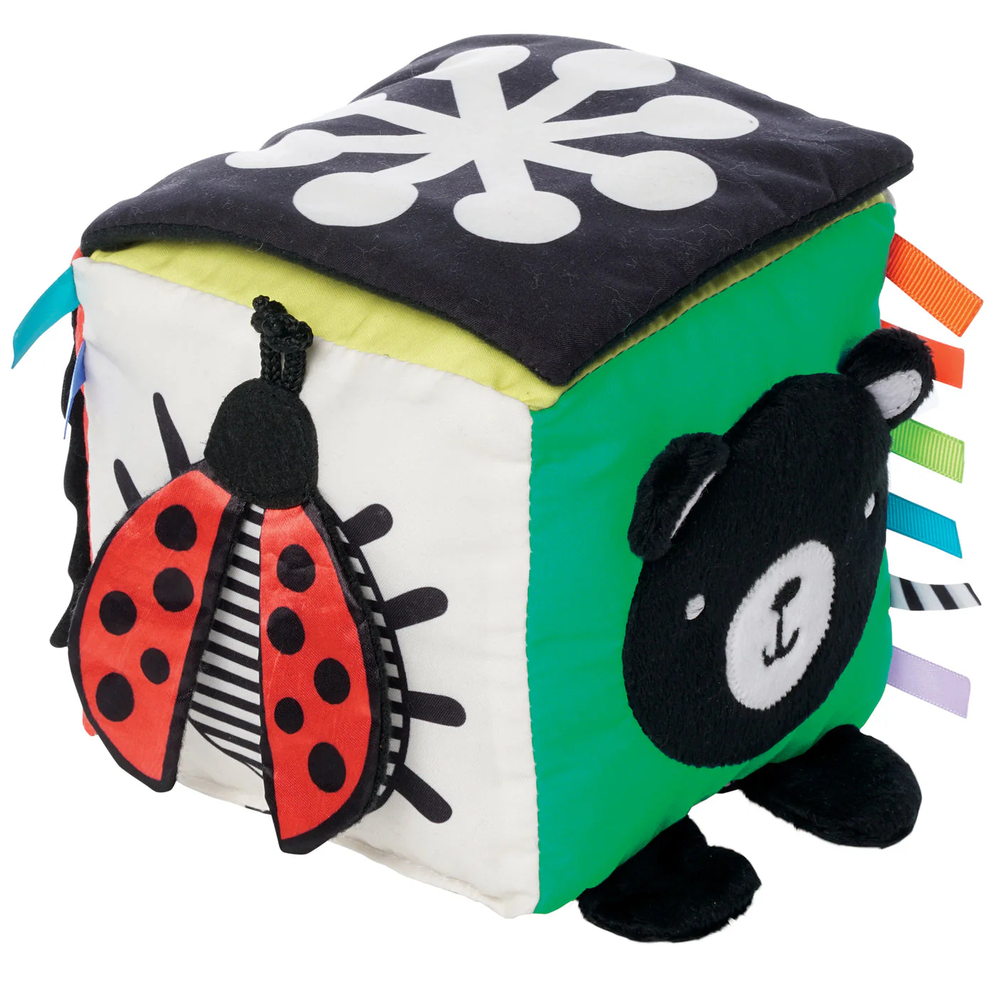 Wimmer Discovery Cube - Image 2