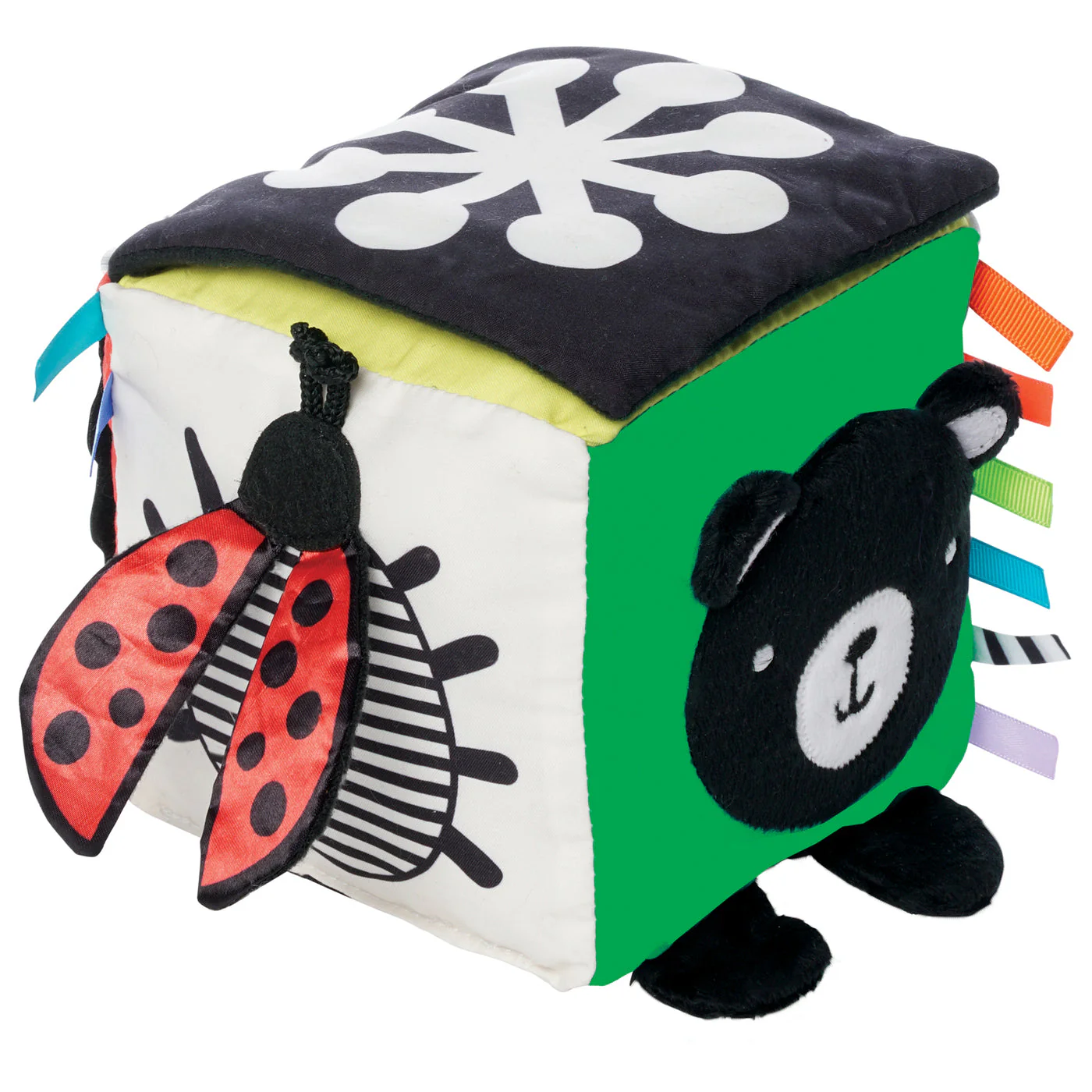 Wimmer Discovery Cube - Image 3